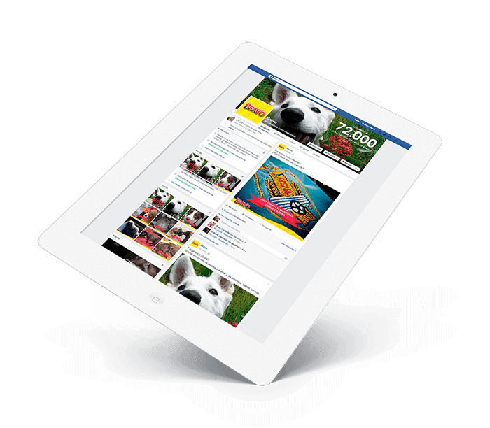Marketing online